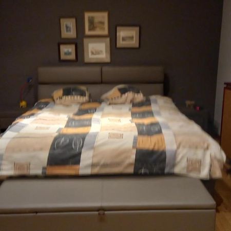 Luxe Appartement Met 3 Slaapkamers En 1 Kingsize Bed Slaapzetel En Drie Dubbelbedden Dendermonde Eksteriør billede