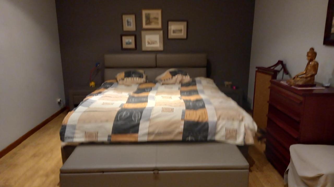 Luxe Appartement Met 3 Slaapkamers En 1 Kingsize Bed Slaapzetel En Drie Dubbelbedden Dendermonde Eksteriør billede